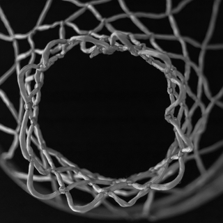The Evolution of the WNBA